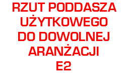 RZUT PODDASZA
UŻYTKOWEGO
DO DOWOLNEJ
ARANŻACJI
E2